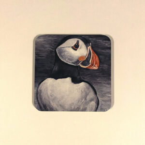 Little Brother of the North Coaster